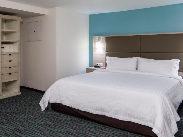 Holiday Inn & Suites Mexico Zona Reforma, an IHG Hotel : photo 6 de la chambre suite lit king-size