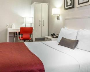 The Moore : photo 5 de la chambre room #2263910