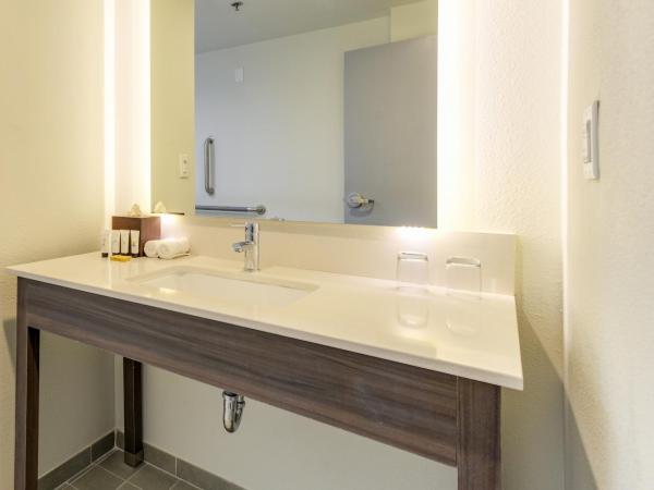 Saint Louis Airport Hotel : photo 2 de la chambre chambre lit king-size avec douche accessible en fauteuil roulant - adaptée aux personnes à mobilité réduite