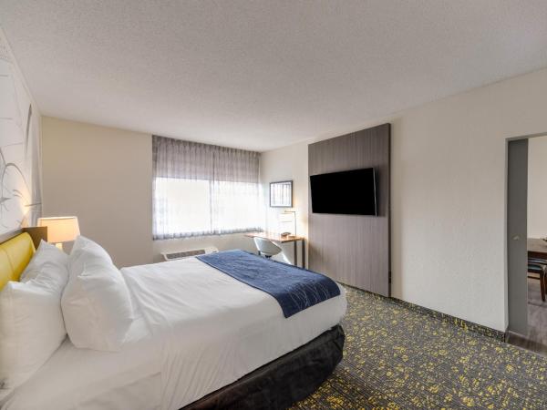 Saint Louis Airport Hotel : photo 5 de la chambre suite lit king-size exécutive