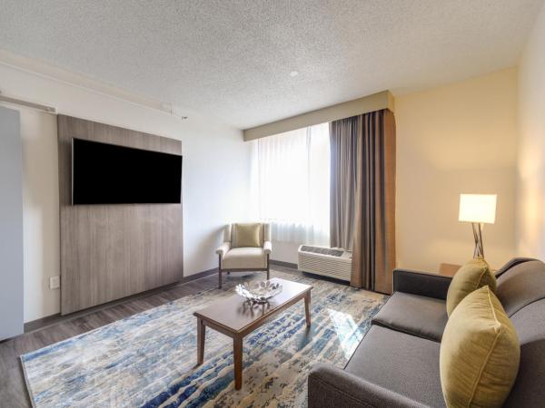 Saint Louis Airport Hotel : photo 2 de la chambre suite lit king-size exécutive