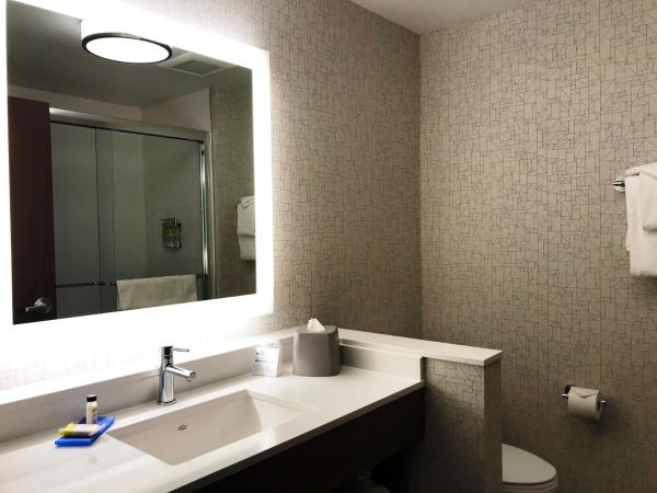 Holiday Inn Express & Suites - Phoenix - Airport North, an IHG Hotel : photo 3 de la chambre chambre lit king-size standard avec douche à l'italienne