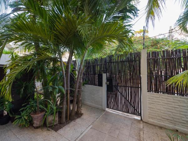 Casa Tropical : photo 6 de la chambre maison 5 chambres