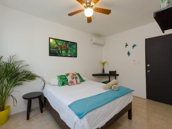 Casa Tropical : photo 9 de la chambre chambre double avec salle de bains commune