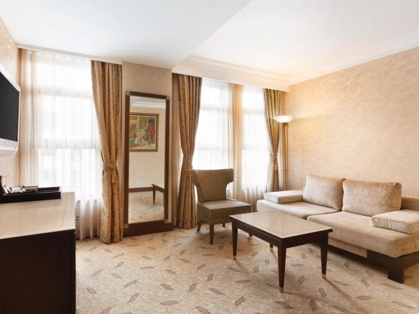 Crowne Plaza Istanbul - Old City, an IHG Hotel : photo 9 de la chambre suite 1 chambre lit king-size - non-fumeurs
