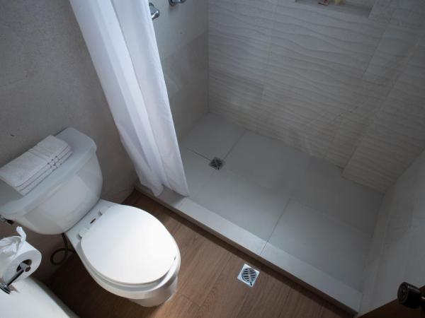 Best Western Centro Monterrey : photo 7 de la chambre chambre lit king-size - non-fumeurs