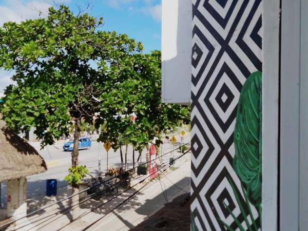 Emotion Avenida Tulum Hotel & Hostal : photo 1 de la chambre lit dans dortoir mixte de 8 lits 
