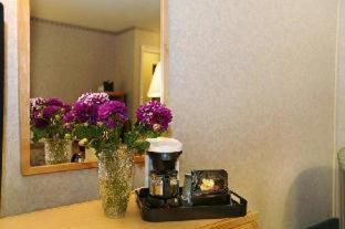 Nob Hill Motor Inn -Newly Updated Rooms! : photo 1 de la chambre room #5585115