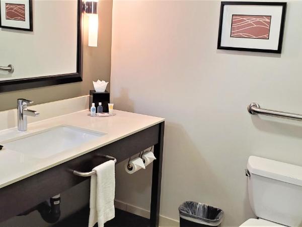 Comfort Inn & Suites Near Universal - N Hollywood - Burbank : photo 7 de la chambre suite lit king-size de luxe
