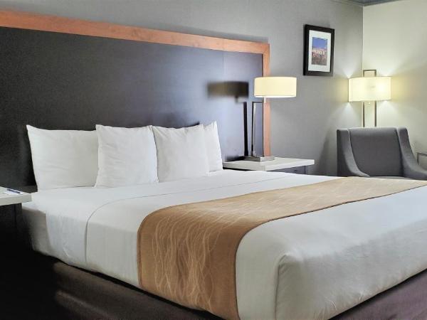 Comfort Inn & Suites Near Universal - N Hollywood - Burbank : photo 4 de la chambre chambre lit king-size - non-fumeurs