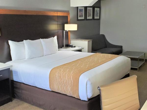 Comfort Inn & Suites Near Universal - N Hollywood - Burbank : photo 4 de la chambre suite lit king-size de luxe