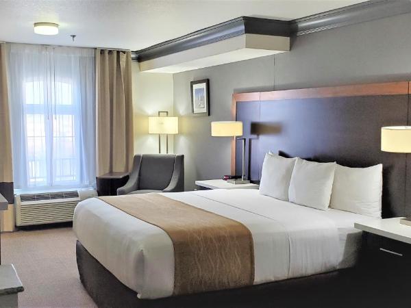 Comfort Inn & Suites Near Universal - N Hollywood - Burbank : photo 3 de la chambre suite lit king-size de luxe