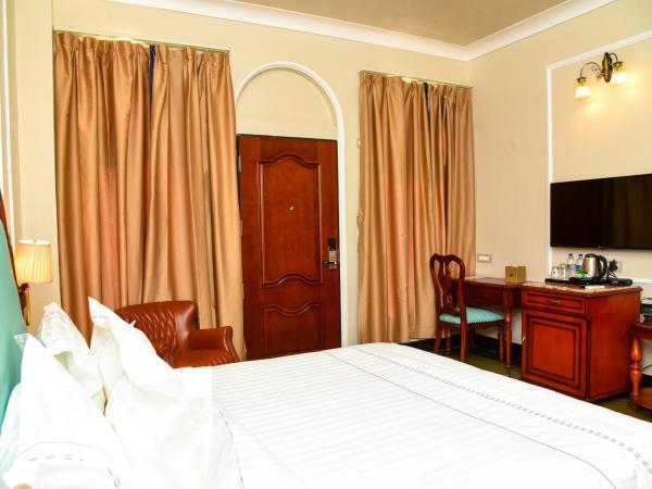 Jhadol Vijay Vilas Near Lake Pichola : photo 8 de la chambre chambre double standard