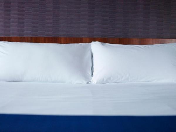 Holiday Inn Express London Victoria, an IHG Hotel : photo 4 de la chambre chambre standard