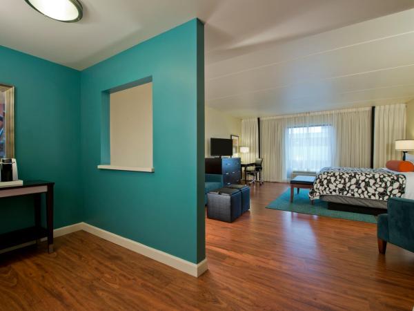 Hotel Indigo Atlanta Airport College Park, an IHG Hotel : photo 3 de la chambre chambre lit king-size avec canapé-lit