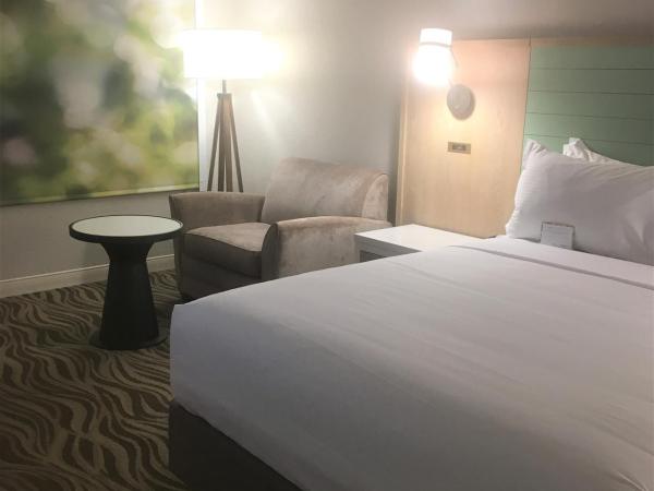 Wyndham Garden Lake Buena Vista Disney Springs® Resort Area : photo 3 de la chambre chambre lit queen-size accessible aux personnes à mobilité réduite - non-fumeurs