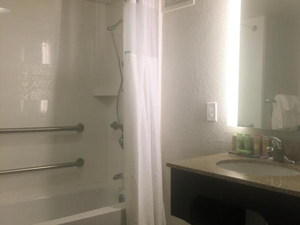 Wyndham Garden Lake Buena Vista Disney Springs® Resort Area : photo 6 de la chambre chambre lit queen-size accessible aux personnes à mobilité réduite - non-fumeurs