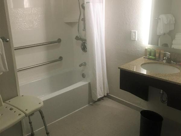 Wyndham Garden Lake Buena Vista Disney Springs® Resort Area : photo 5 de la chambre chambre lit queen-size accessible aux personnes à mobilité réduite - non-fumeurs