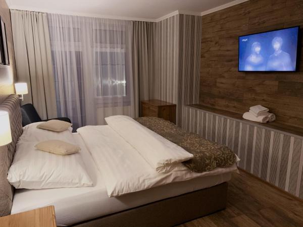Pension Vzhůru nohama Jáchymov : photo 3 de la chambre chambre double avec balcon