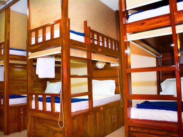 Hotel Nest N Rest - Mumbai : photo 6 de la chambre lit dans dortoir pour hommes