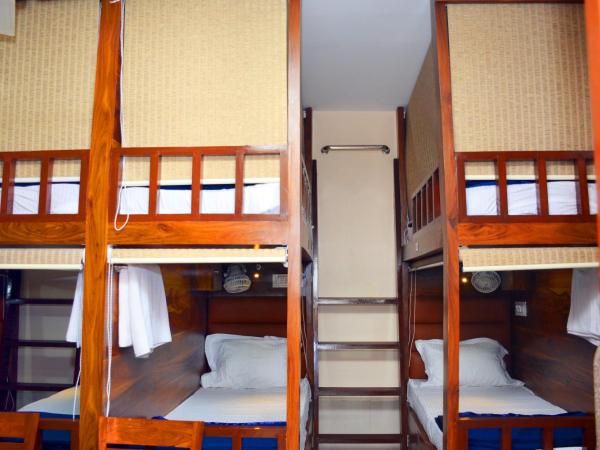 Hotel Nest N Rest - Mumbai : photo 8 de la chambre lit dans dortoir pour hommes
