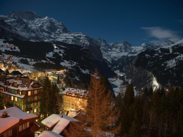 Hotel Alpenruhe - Vintage Design Hotel : photo 10 de la chambre chambre double deluxe