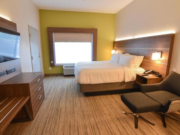 Holiday Inn Express & Suites - Indianapolis Northwest, an IHG Hotel : photo 5 de la chambre chambre lit king-size pour personnes à mobilité réduite – douche accessible en fauteuil roulant - non-fumeurs