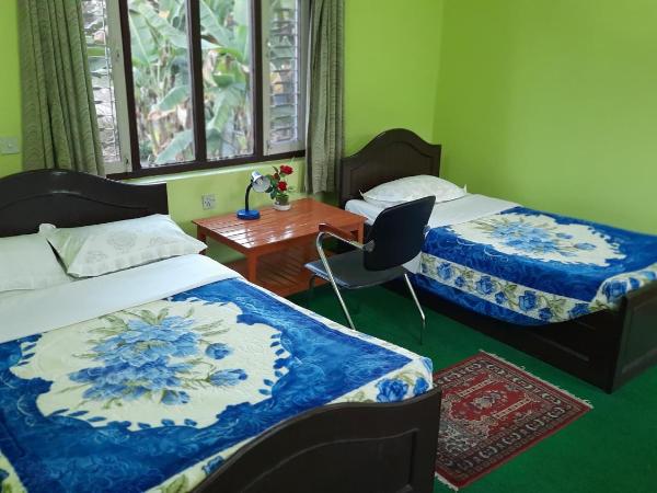 New Pokhara Lodge - Pokhara Lakeside : photo 1 de la chambre chambre double ou lits jumeaux avec salle de bains privative