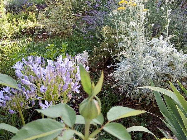 L'Ecrin : photo 1 de la chambre chambre triple - vue sur jardin