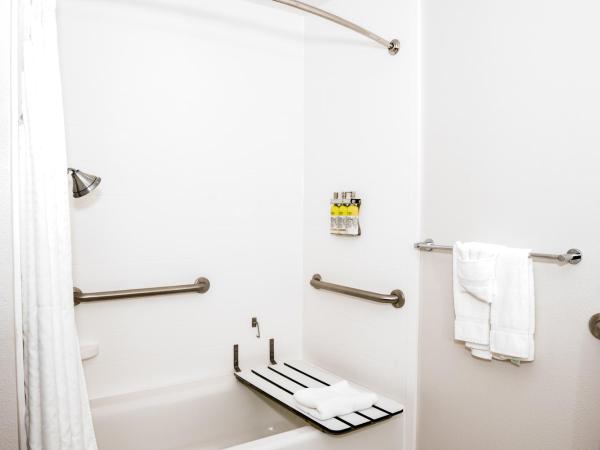 Holiday Inn Express Hotel & Suites Tampa-USF-Busch Gardens, an IHG Hotel : photo 4 de la chambre chambre double avec 2 lits doubles - accessible aux personnes malentendantes - non-fumeurs 