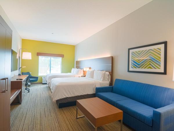 Holiday Inn Express Hotel & Suites Tampa-USF-Busch Gardens, an IHG Hotel : photo 3 de la chambre suite lit queen-size