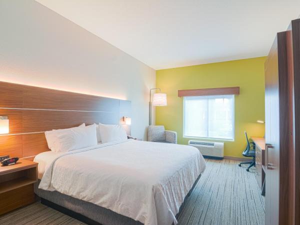 Holiday Inn Express Hotel & Suites Tampa-USF-Busch Gardens, an IHG Hotel : photo 4 de la chambre chambre lit king-size standard