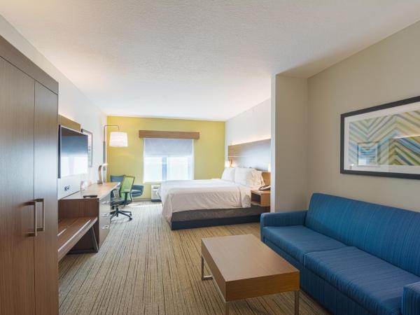 Holiday Inn Express Hotel & Suites Tampa-USF-Busch Gardens, an IHG Hotel : photo 3 de la chambre suite lit king-size