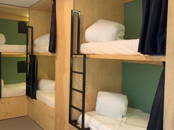 AZ The Botanic Hostel : photo 7 de la chambre lit dans dortoir pour femmes de 6 lits