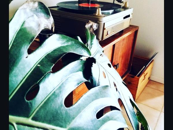 Trastienda Guest House : photo 9 de la chambre lit simple en dortoir