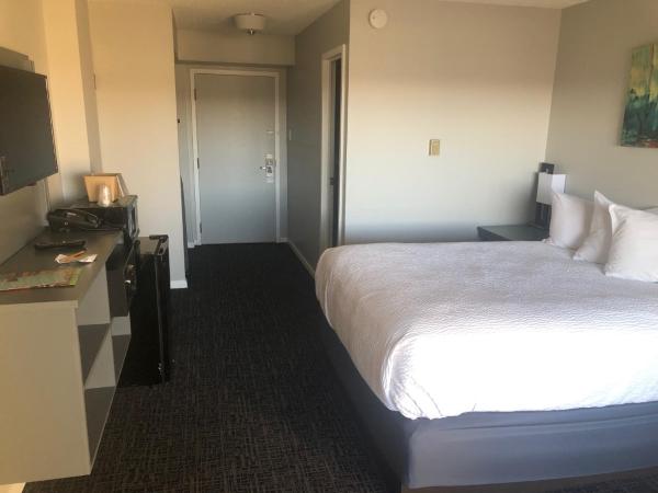 Satellite Hotel : photo 4 de la chambre chambre lit queen-size deluxe