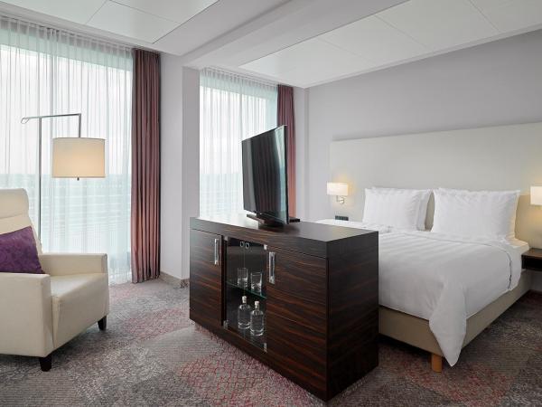 Radisson Blu Hotel Leipzig : photo 2 de la chambre suite junior