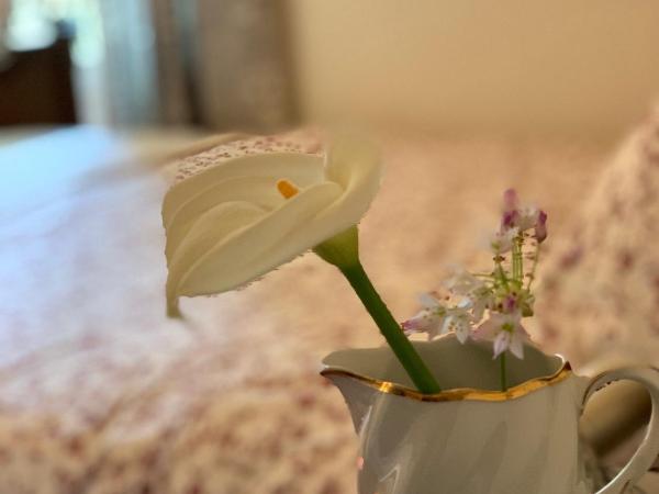 La Clé de la Porte B&B : photo 10 de la chambre chambre double