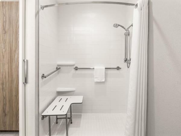 Crowne Plaza Orlando - Lake Buena Vista, an IHG Hotel : photo 4 de la chambre chambre lit king-size standard avec douche accessible en fauteuil roulant