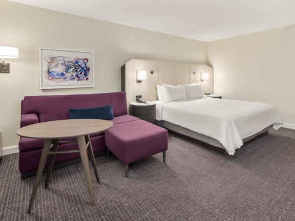 Crowne Plaza Orlando - Lake Buena Vista, an IHG Hotel : photo 6 de la chambre chambre lit king-size exécutive