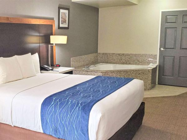 Comfort Inn & Suites Near Universal - N Hollywood - Burbank : photo 6 de la chambre suite lit king-size avec jacuzzi - non-fumeurs