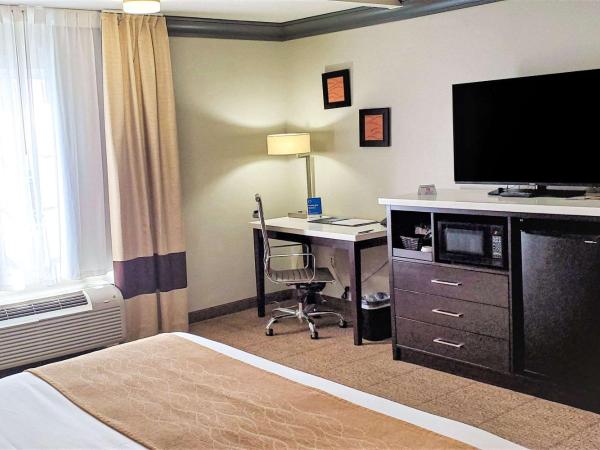 Comfort Inn & Suites Near Universal - N Hollywood - Burbank : photo 10 de la chambre chambre lit king-size - non-fumeurs