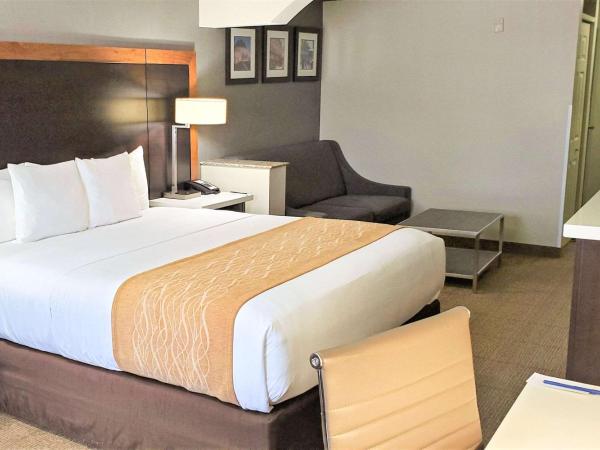 Comfort Inn & Suites Near Universal - N Hollywood - Burbank : photo 5 de la chambre chambre lit king-size deluxe
