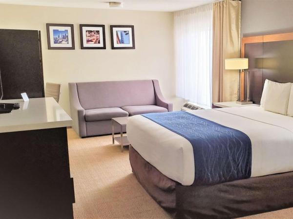 Comfort Inn & Suites Near Universal - N Hollywood - Burbank : photo 6 de la chambre chambre lit king-size deluxe
