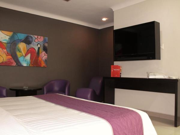 Motel Real de Queretaro : photo 7 de la chambre chambre deluxe