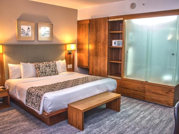 Casa Inn Premium Hotel Queretaro : photo 3 de la chambre chambre lit king-size supérieure