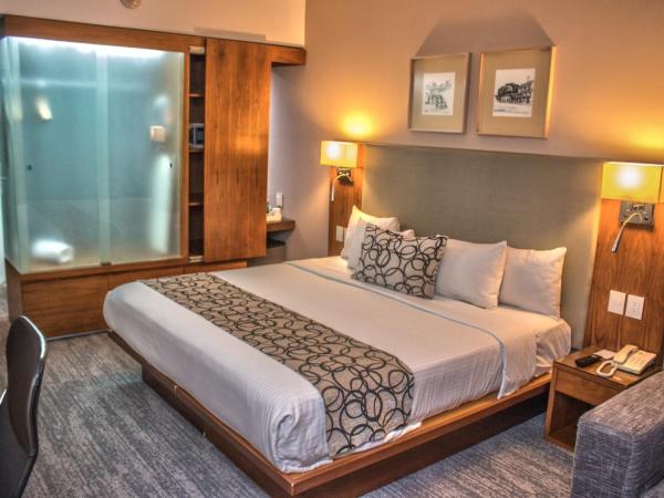 Casa Inn Premium Hotel Queretaro : photo 2 de la chambre chambre lit king-size supérieure