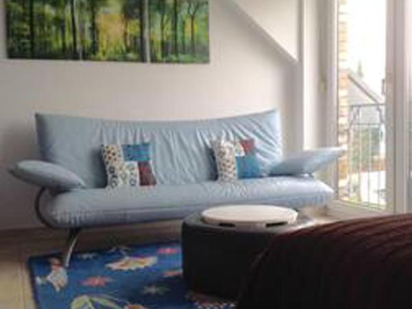 Schönste Lage am Rhein in unmittelbarer Stadtnähe, B & B : photo 5 de la chambre chambre double - vue sur jardin