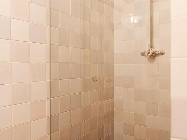 Logement Swaenenvecht : photo 2 de la chambre chambre simple avec salle de bains