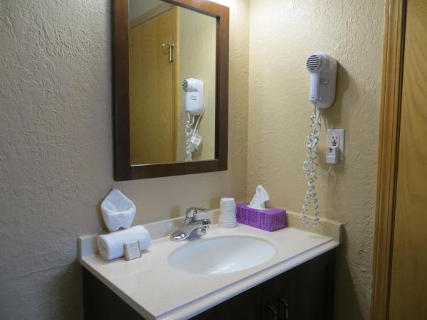 Howard Johnson by Wyndham Red Deer : photo 4 de la chambre chambre lit queen-size - fumeurs